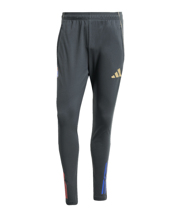 adidas Olympique Lyon Trainingshose Grau