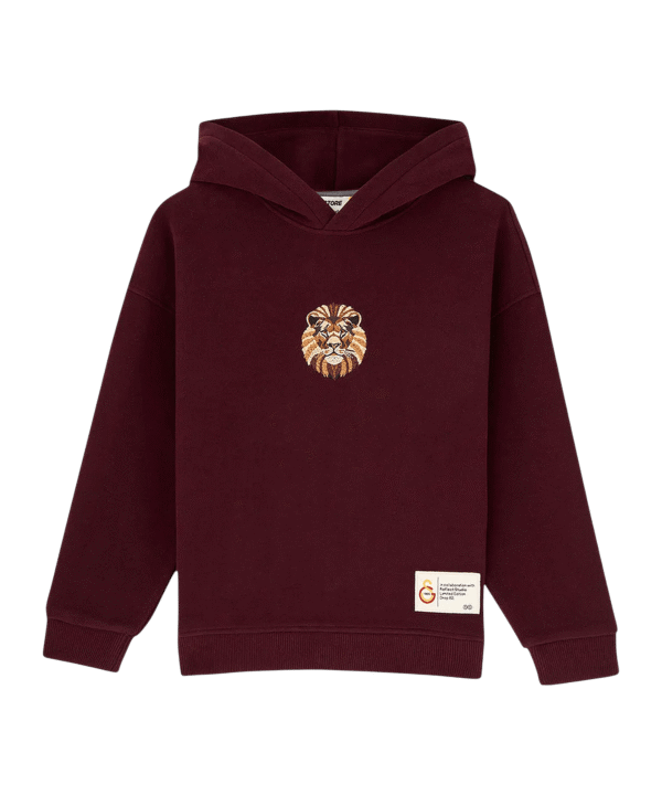 GSSTORE X Reflect Studio Lion Hoody Kids Rot