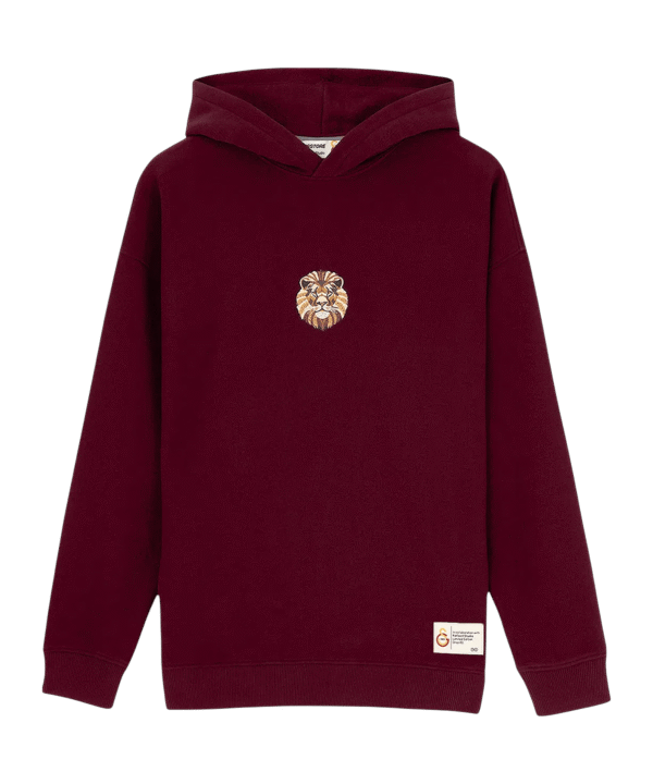 GSSTORE X Reflect Studio Lion Hoody Rot