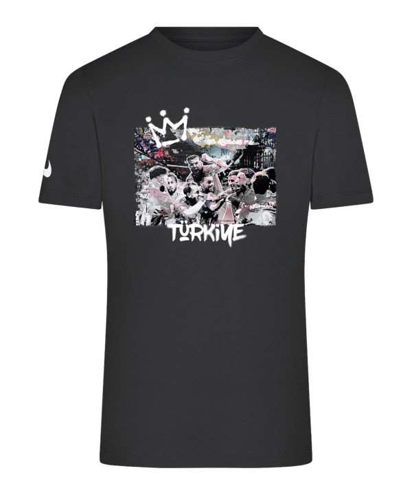 Nike TFF Türkei TFF Team Success T-Shirt Schwarz F10success