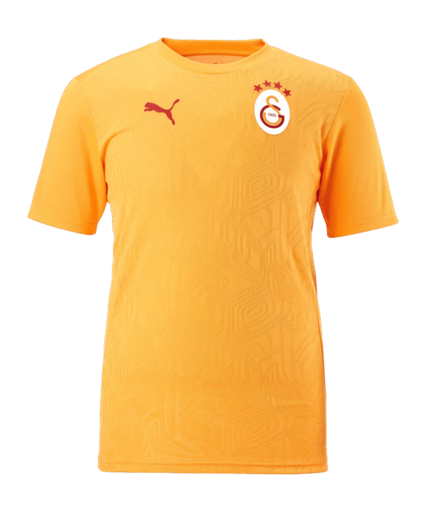 PUMA Galatasaray Istanbul Training T-Shirt Gelb F202